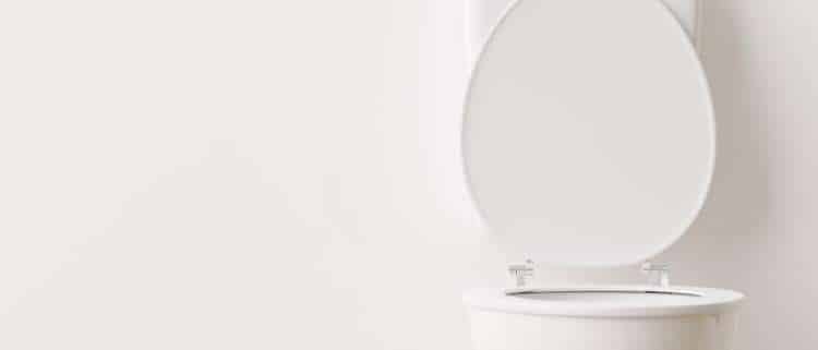 White toilet with the lid raised